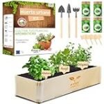 Análisis y comparativa de los mejores productos para cultivar tu huerta de plantas aromáticas