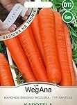 Guía completa para cultivar zanahorias: análisis de los mejores productos de jardinería y agricultura