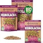 Análisis y comparativa de las mejores semillas de remolacha para tu huerto o jardín