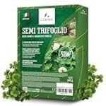 Guía de compra: Trébol Blanco, el aliado perfecto para tu jardín