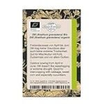 Análisis completo de Anethum graveolens: El mejor aliado en tu jardín o huerto