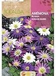 Anémona Valencia: Guía de cultivo y cuidados para tu jardín